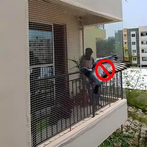 Anti Bird Nets - Hemasri Safety Solutions