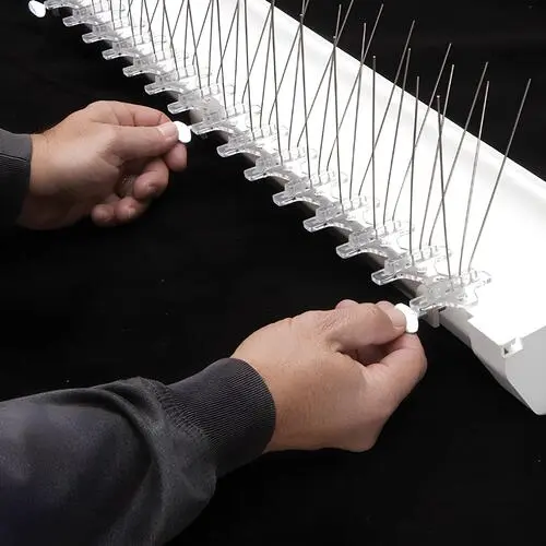 Anti Bird Spikes - Hemasri Safety Solutions