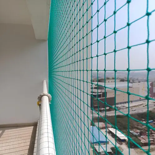 Bird Netting Service in Kadapa and Tirupati