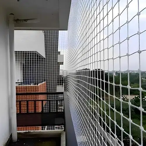 Premium Quality Bird Netting Service in Rajahmundry and Kakinada