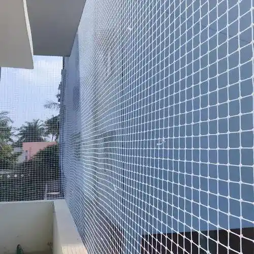 Premium Quality Pigeon Net for Balcony in Rajahmundry and Kakinada