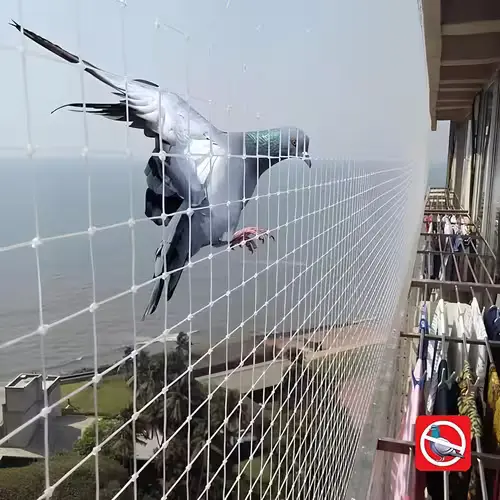 Premium Quality Pigeon Net for Balcony in Vijayawada and Guntur