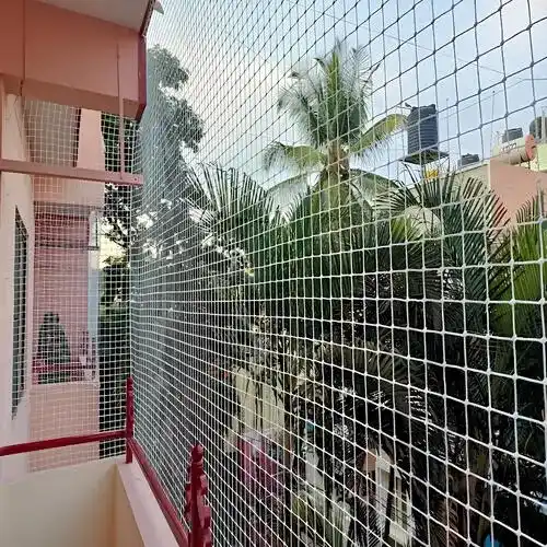Premium Quality Pigeon Netting Service in Rajahmundry and Kakinada