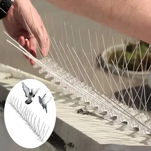 Quality Anti Bird Spikes in Vijayawada and Guntur