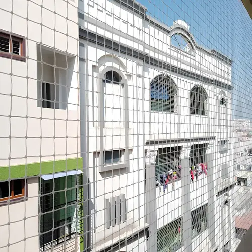 Quality Pigeon Netting Service in Anantapur and Kurnool