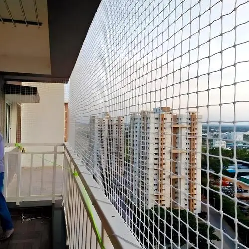 Quality Pigeon Netting Service in Kadapa and Tirupati
