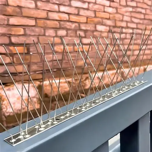 Top Quality Anti Bird Spikes in Vijayawada and Guntur