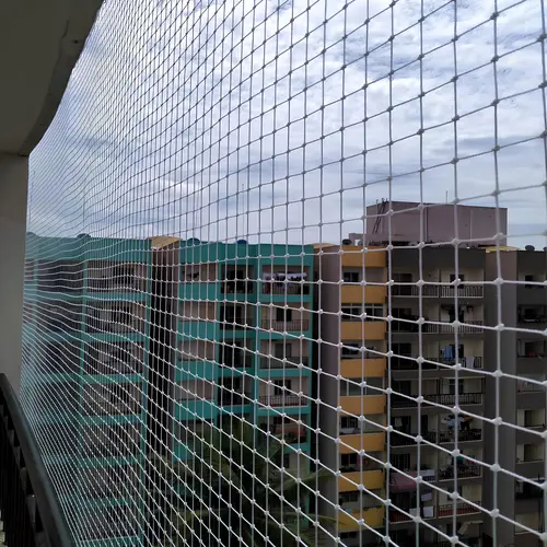 Top Quality Bird Netting Service in Rajahmundry and Kakinada