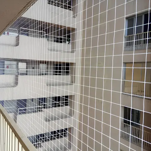 Top Quality Pigeon Netting Service in Anantapur and Kurnool