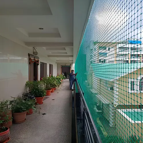 Top Quality Pigeon Netting Service in Vizag (Visakhapatnam)