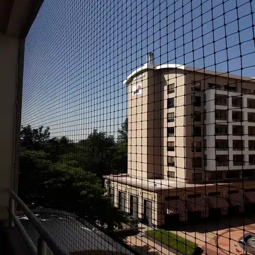 Top Quality Pigeon Safety Nets in Vizag (Visakhapatnam)